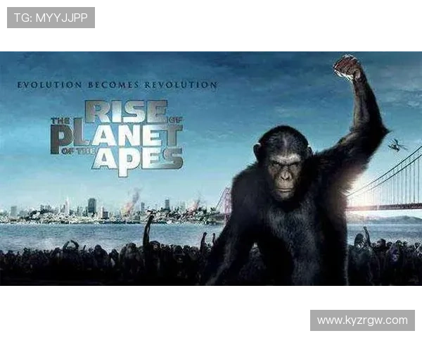 开云真人下载在国内外市场的竞争动态解读