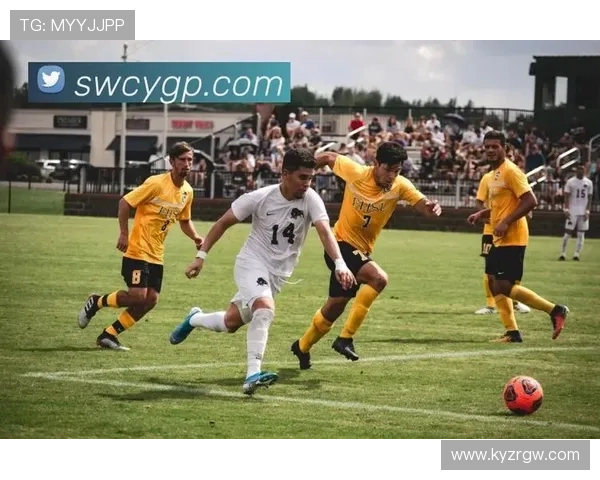 开云体育在线玩提供丰富的体育赛事直播与互动玩法一站式体验