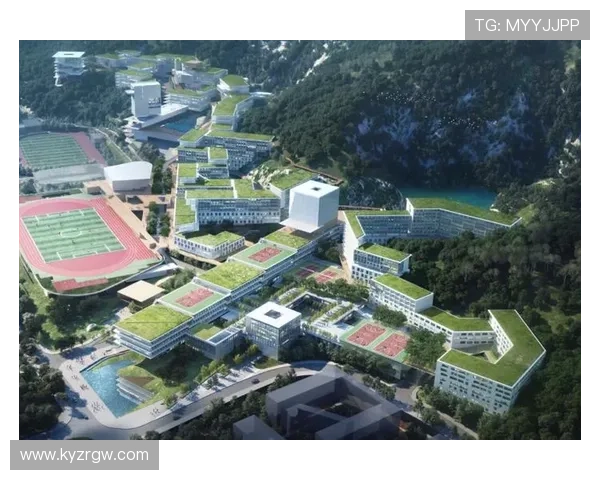 开云虚拟足球：虚拟足球平台的用户体验优化与界面设计创新方案