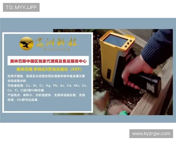 开云集团官网中关于可持续发展战略的具体实施案例