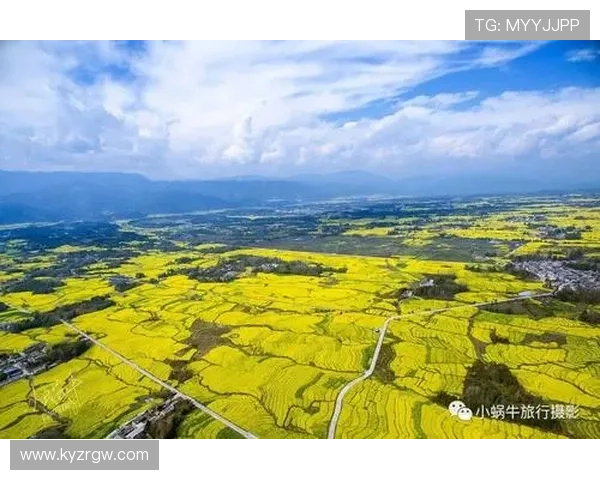 开云体育平台投注安全保障措施全面解析确保用户资金与信息安全无忧