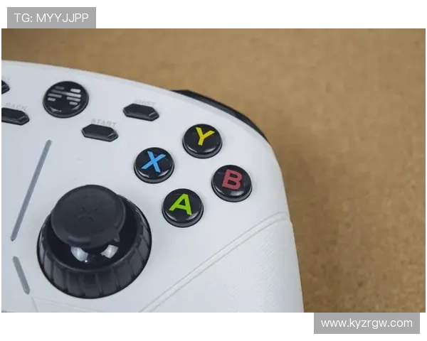 开云KY网址登录线路最新优化方案，确保玩家畅享稳定顺畅的游戏体验